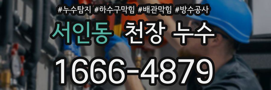 서인동 천장 누수