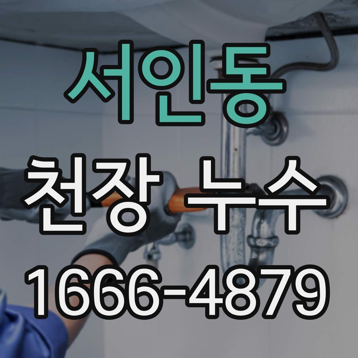 서인동 천장 누수