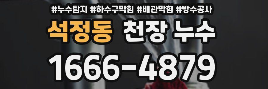 석정동 천장 누수