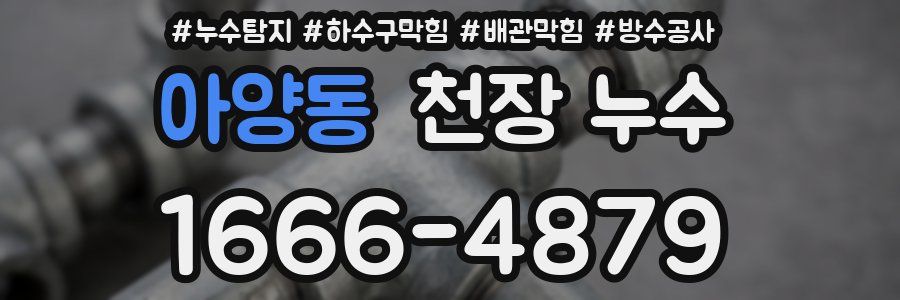아양동 천장 누수