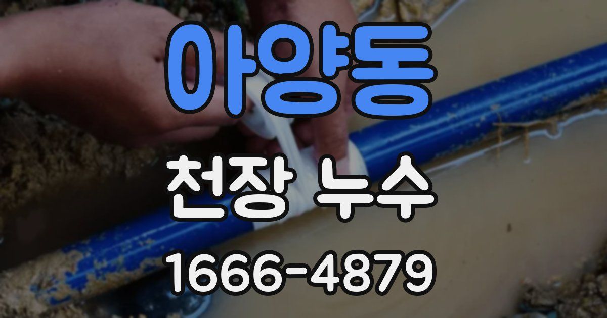 아양동 천장 누수