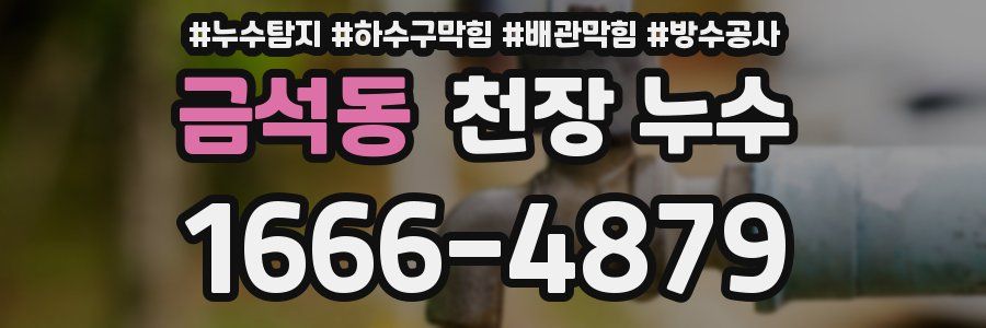 금석동 천장 누수