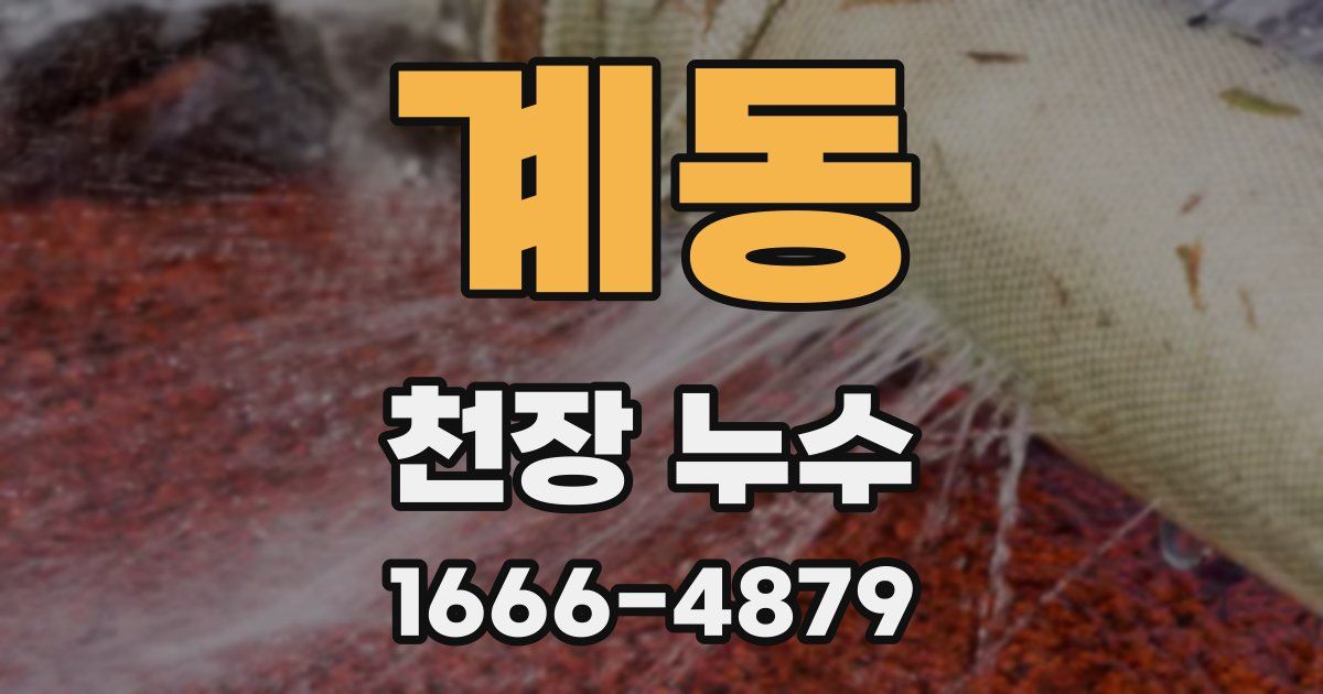 계동 천장 누수