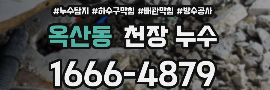 옥산동 천장 누수