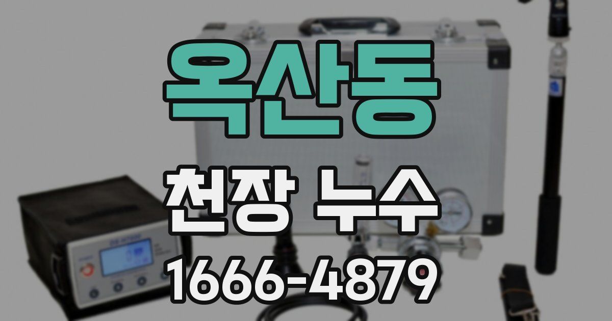 옥산동 천장 누수