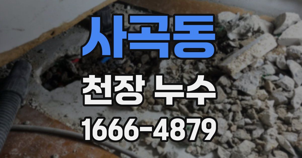 사곡동 천장 누수