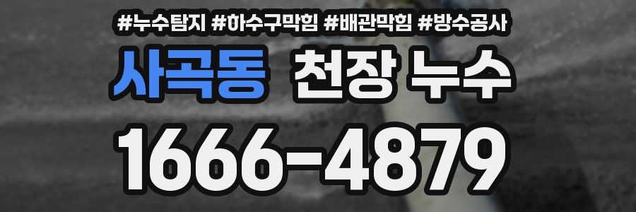 사곡동 천장 누수