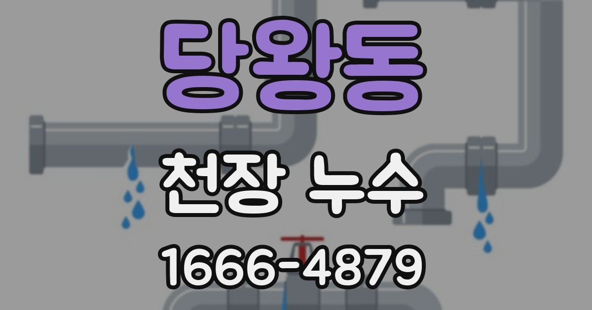 당왕동 천장 누수