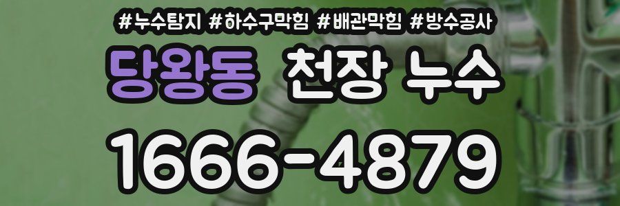 당왕동 천장 누수