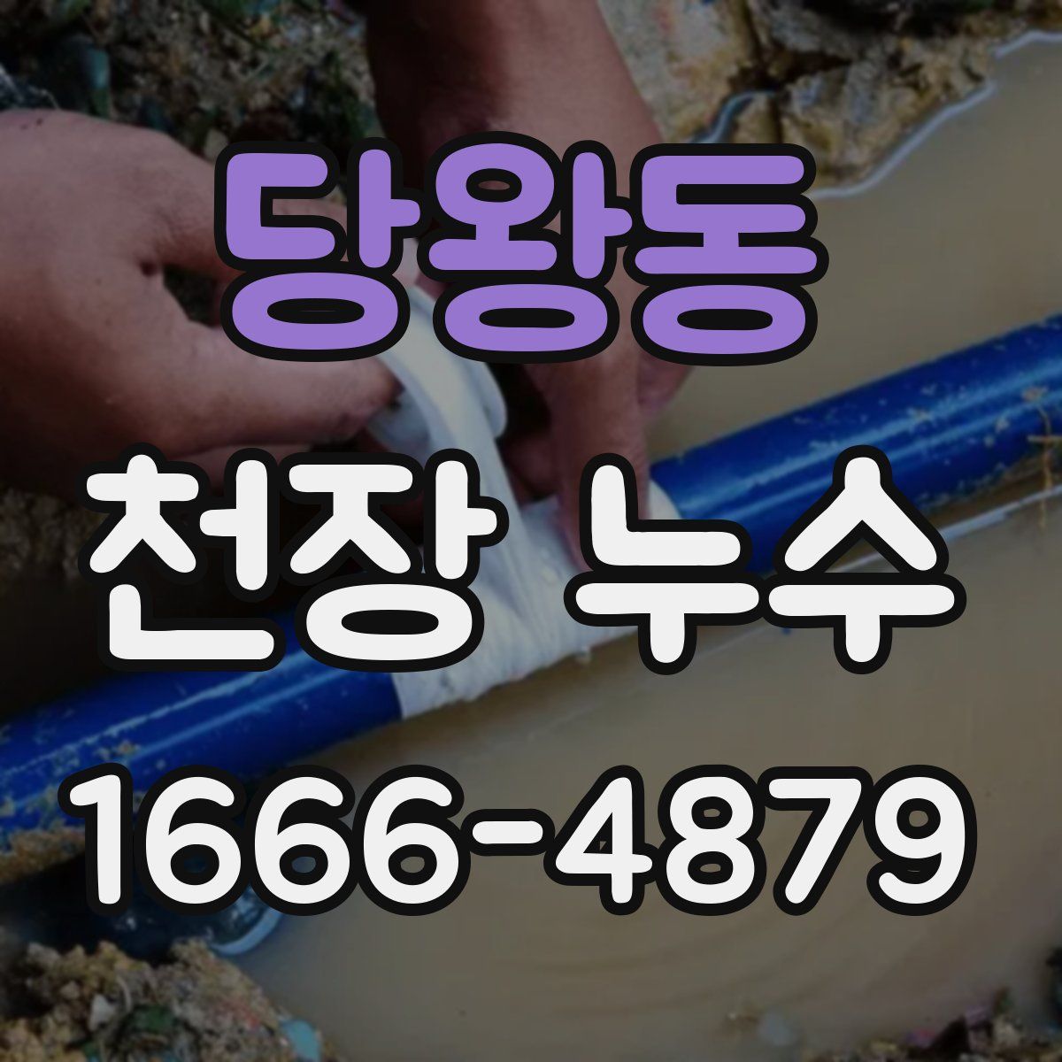 당왕동 천장 누수