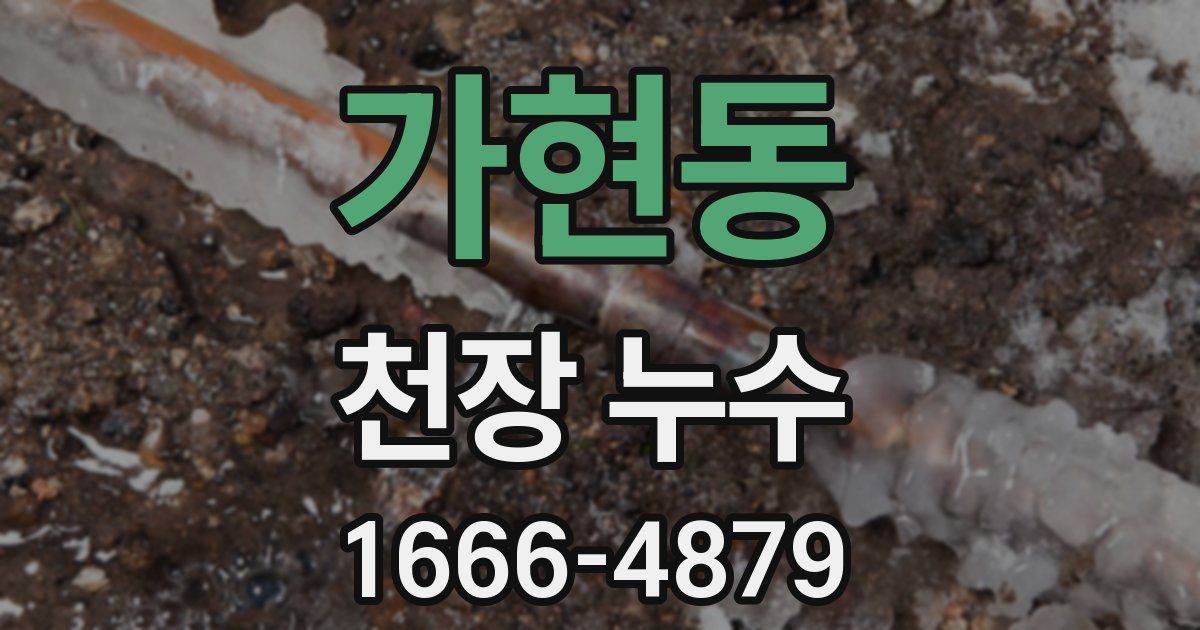 가현동 천장 누수