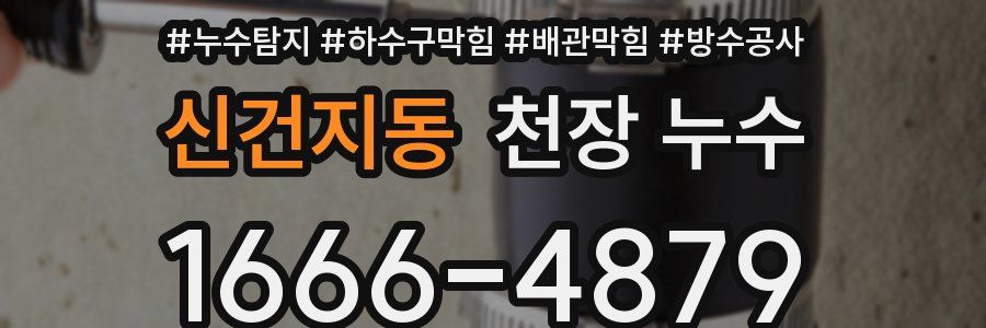 신건지동 천장 누수