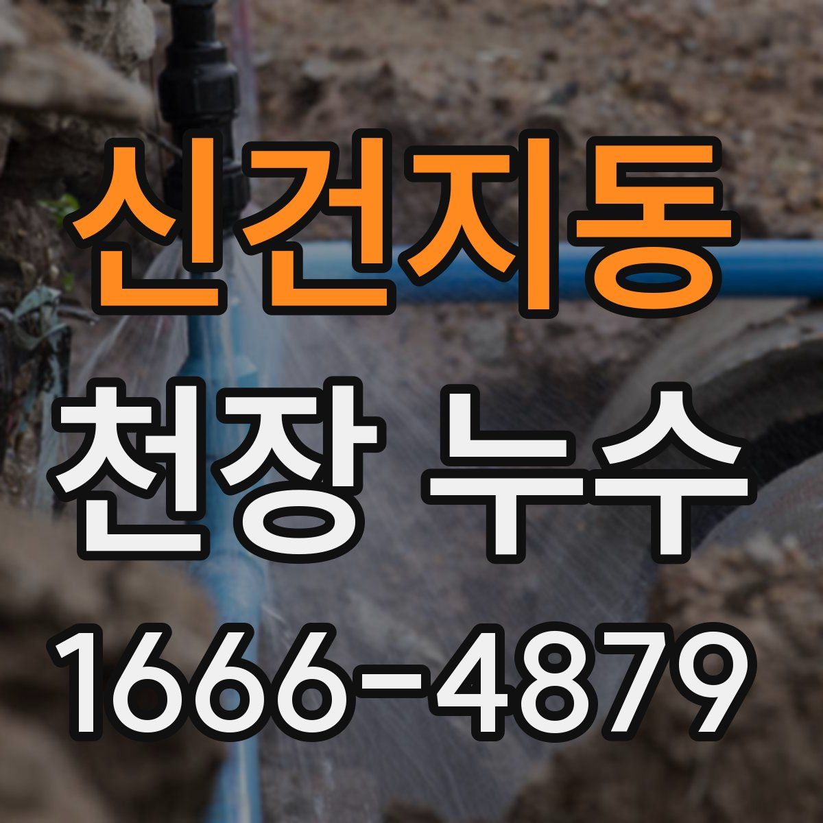 신건지동 천장 누수