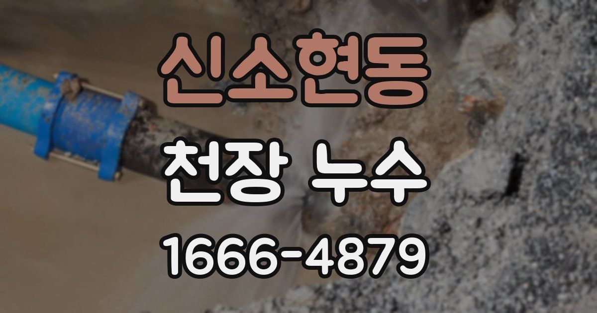 신소현동 천장 누수
