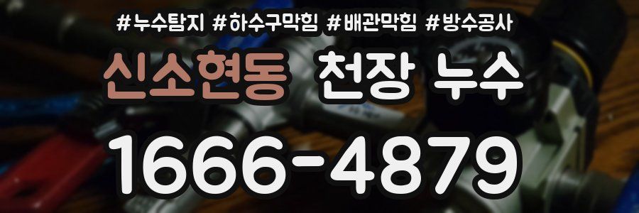 신소현동 천장 누수