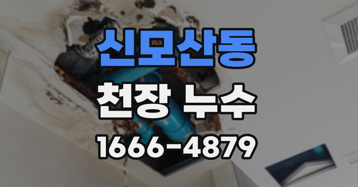 신모산동 천장 누수