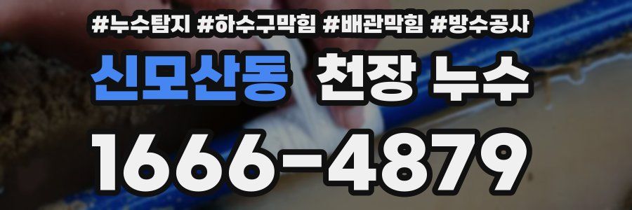 신모산동 천장 누수