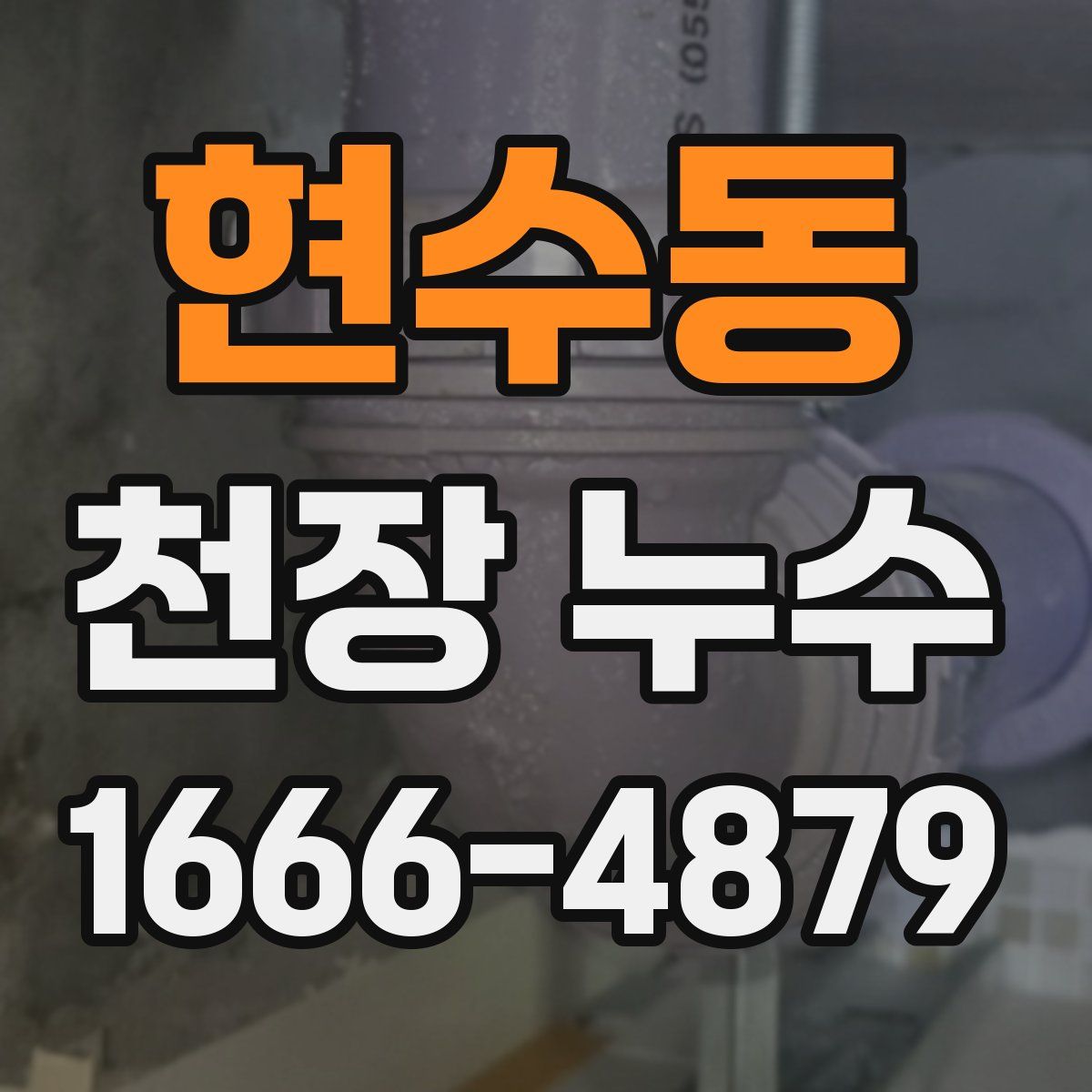 현수동 천장 누수