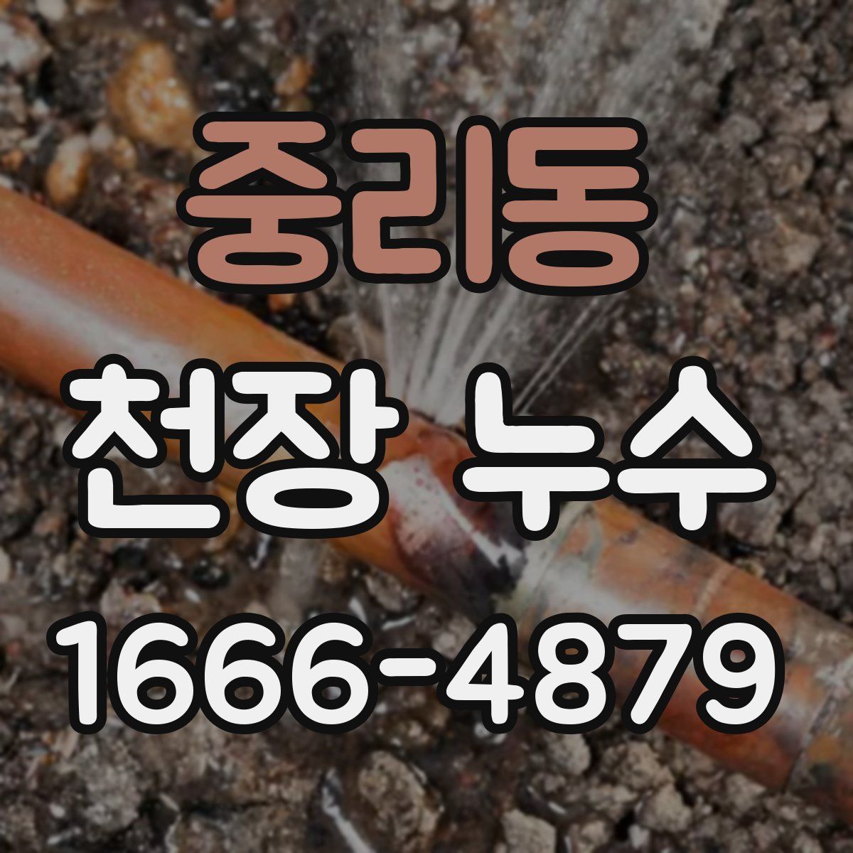 중리동 천장 누수