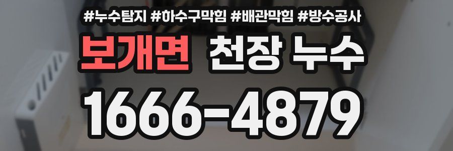보개면 천장 누수