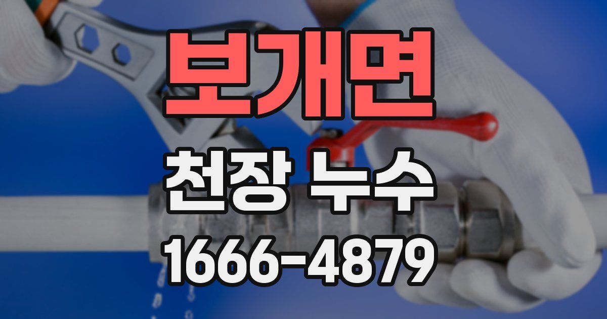 보개면 천장 누수