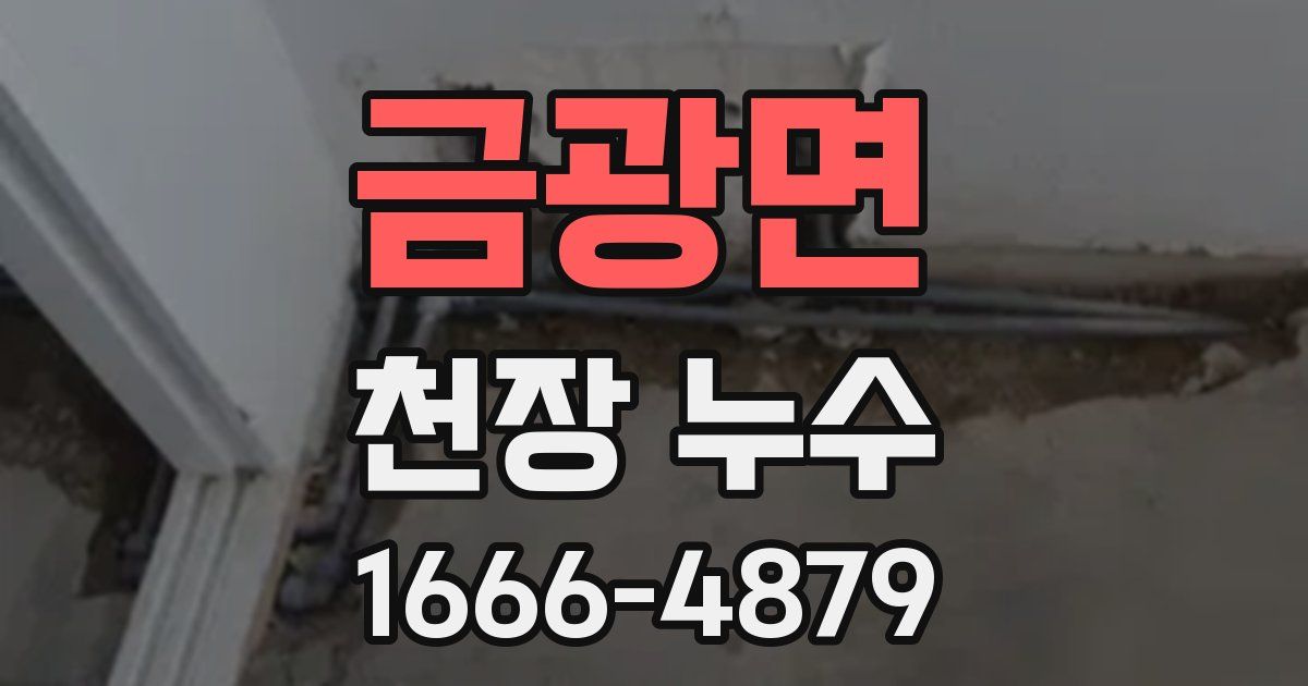 금광면 천장 누수