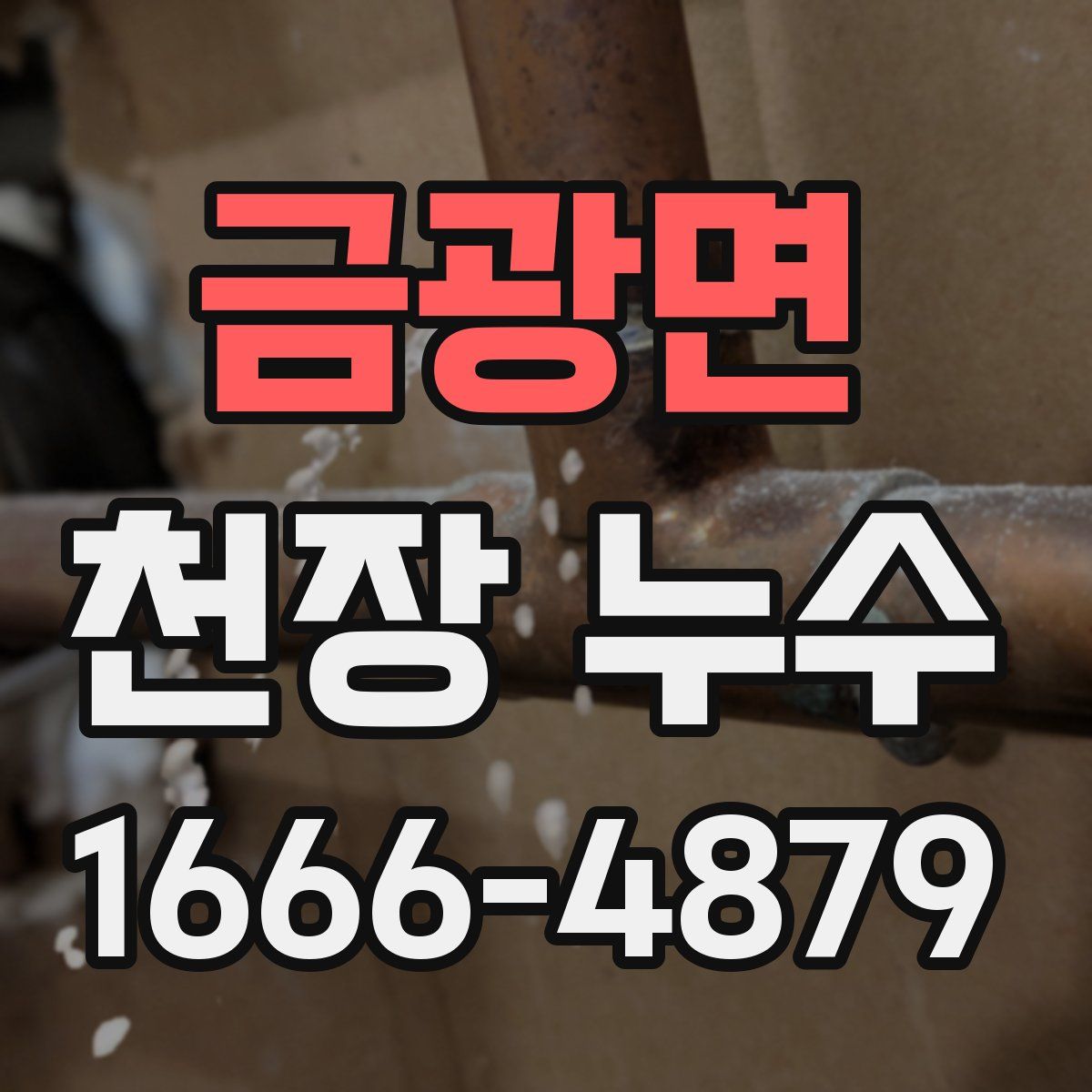 금광면 천장 누수