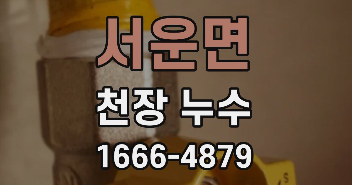 서운면 천장 누수