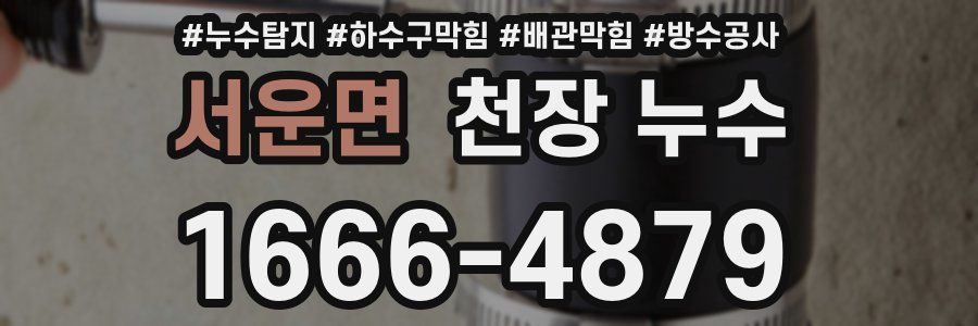 서운면 천장 누수