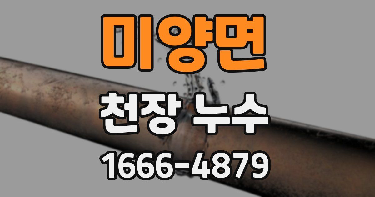 미양면 천장 누수