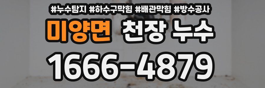 미양면 천장 누수