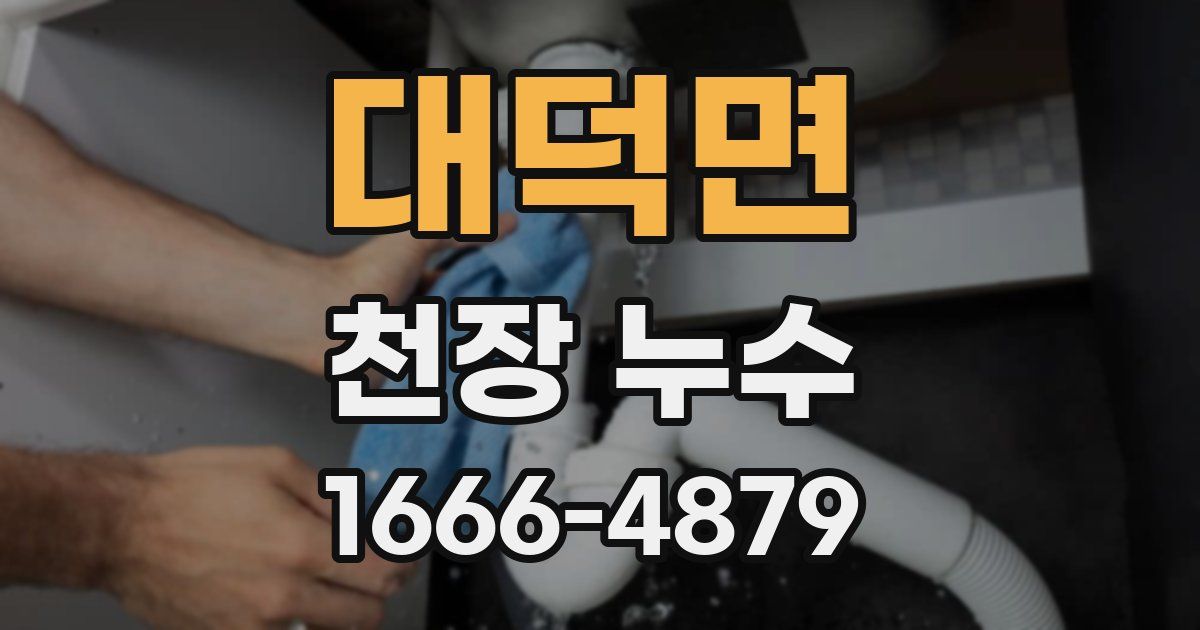 대덕면 천장 누수