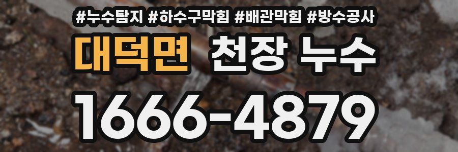대덕면 천장 누수