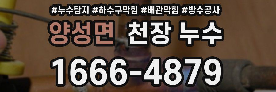 양성면 천장 누수