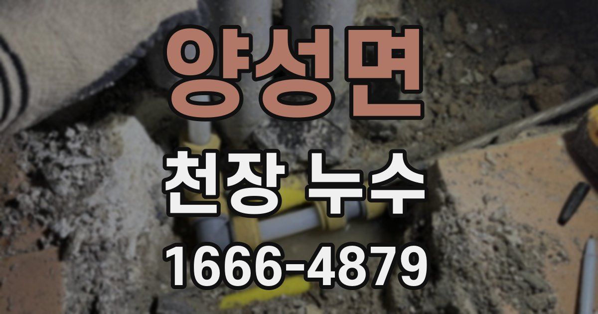 양성면 천장 누수