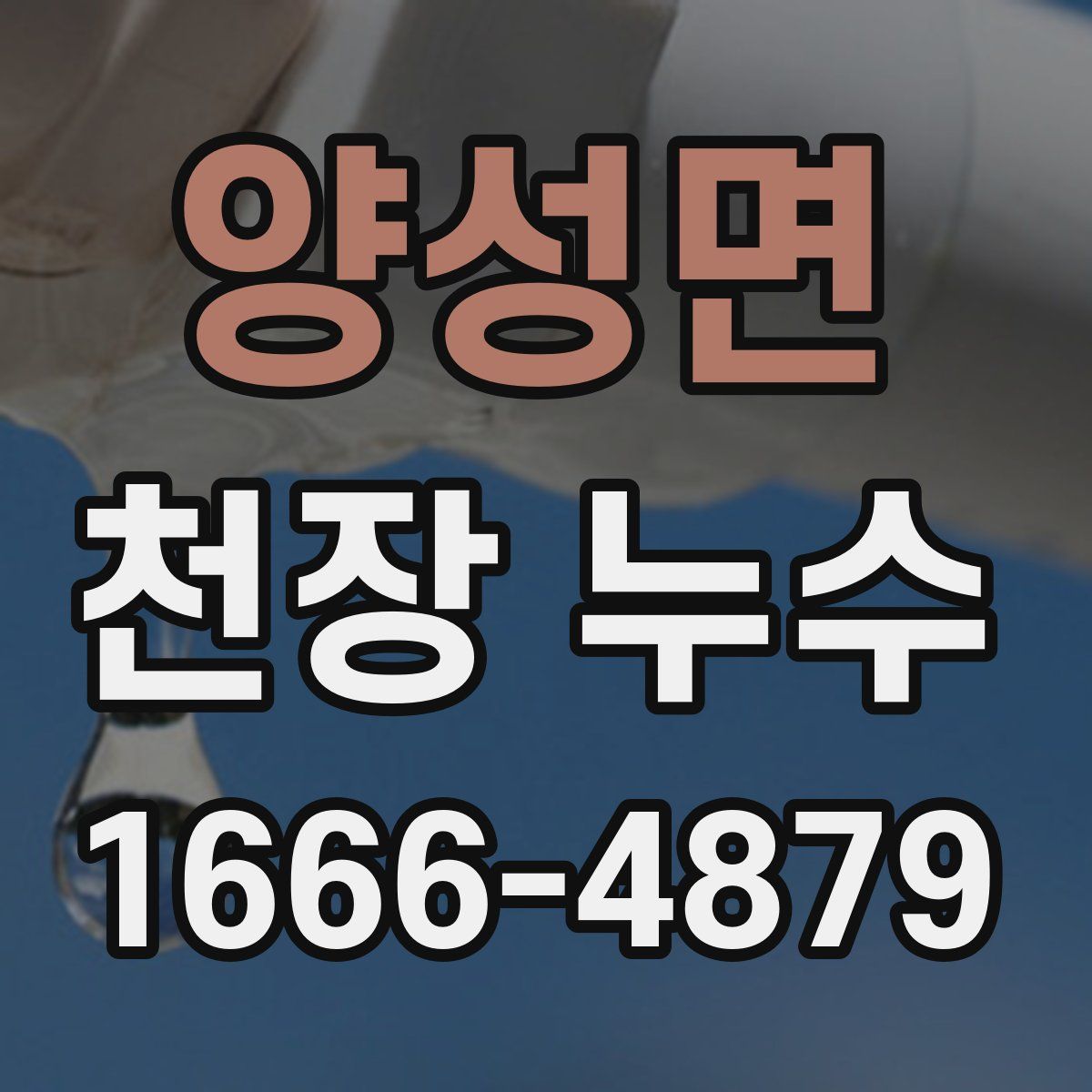 양성면 천장 누수