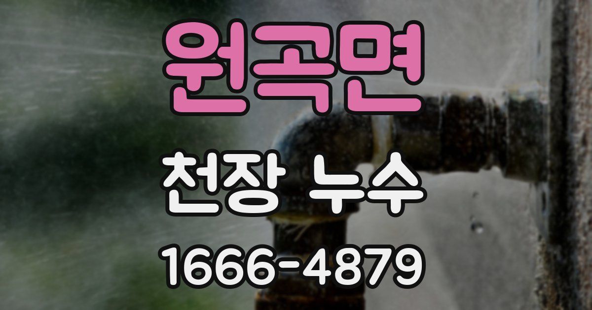 원곡면 천장 누수