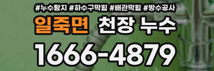 일죽면 천장 누수
