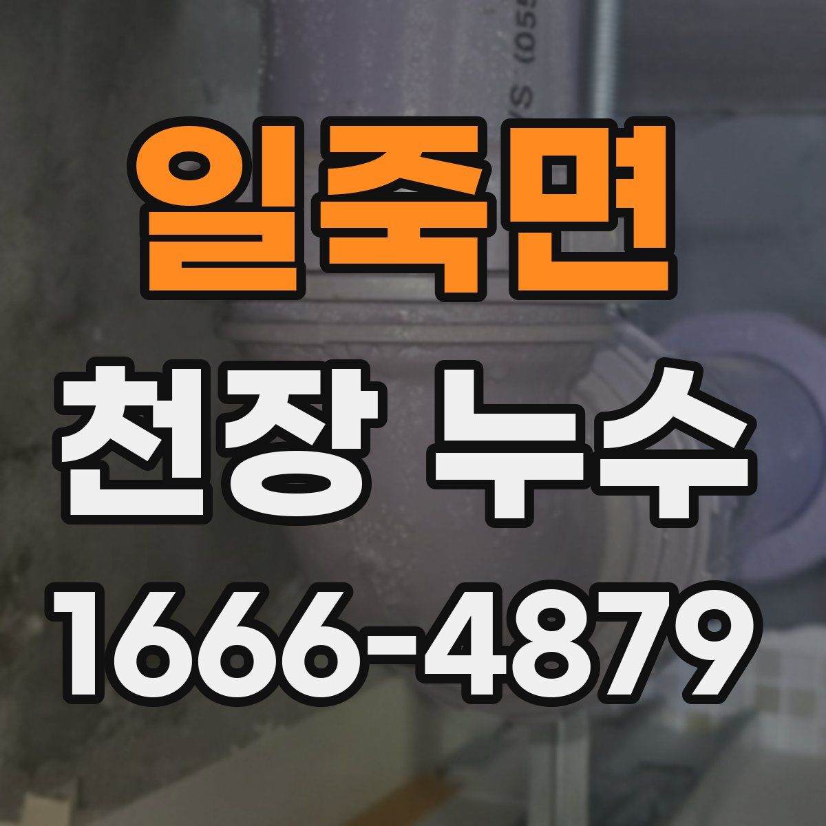 일죽면 천장 누수
