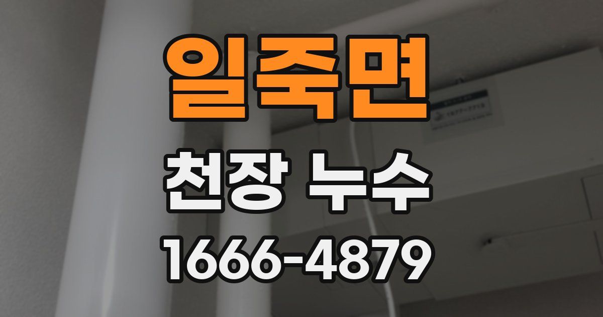 일죽면 천장 누수
