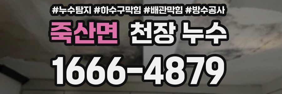 죽산면 천장 누수