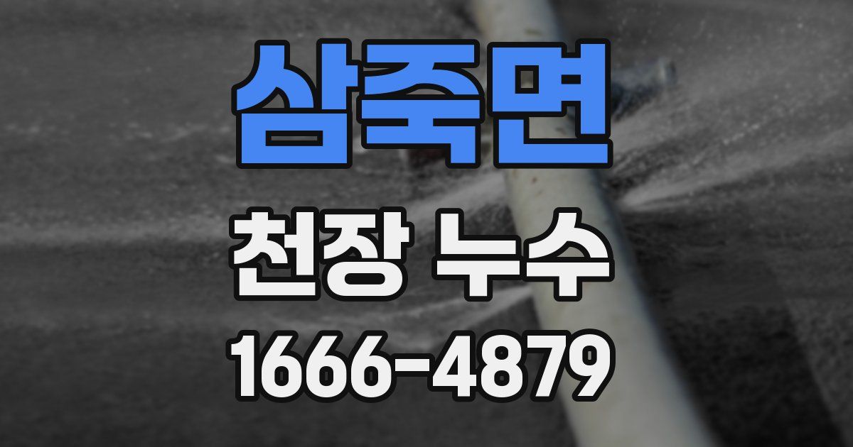 삼죽면 천장 누수