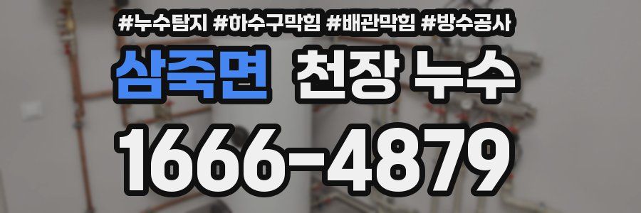 삼죽면 천장 누수