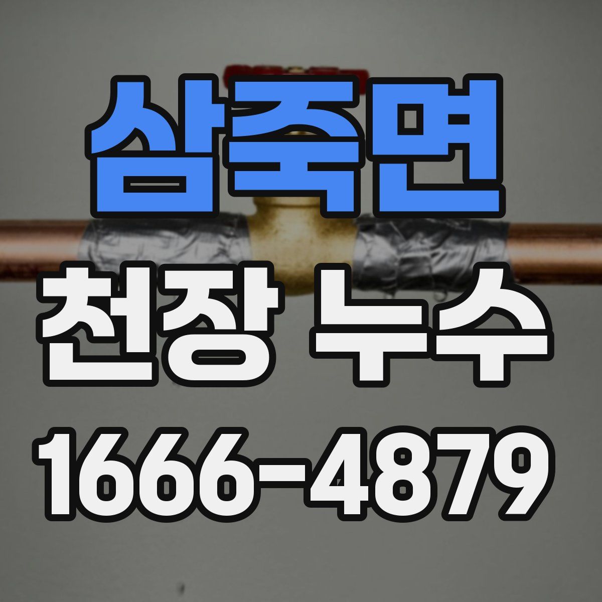 삼죽면 천장 누수