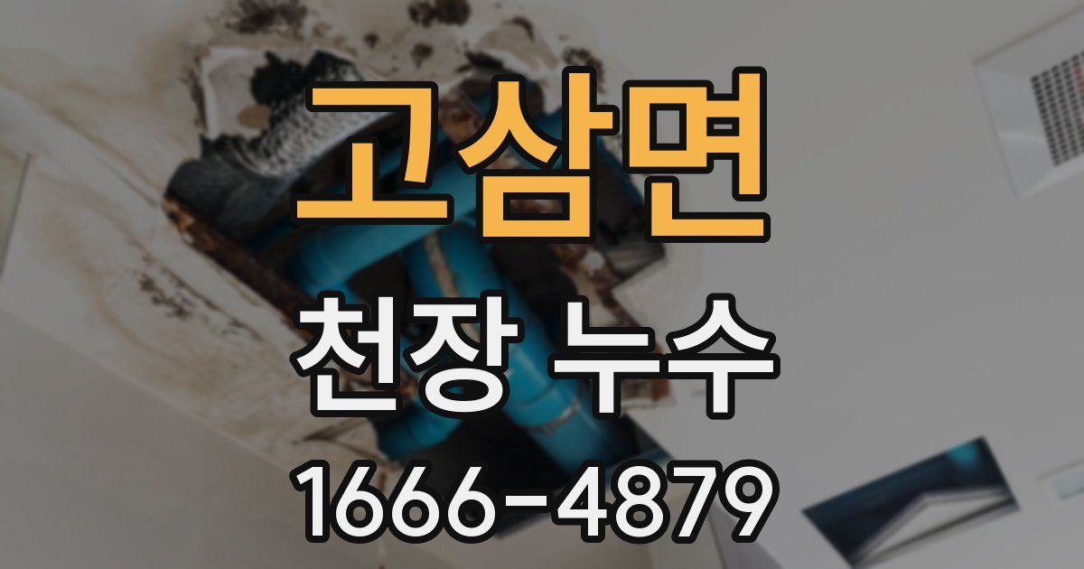 고삼면 천장 누수
