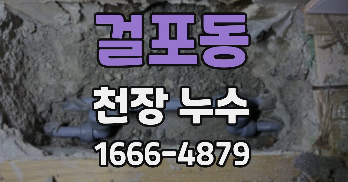 걸포동 천장 누수