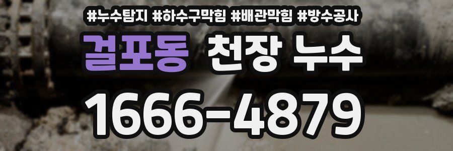 걸포동 천장 누수