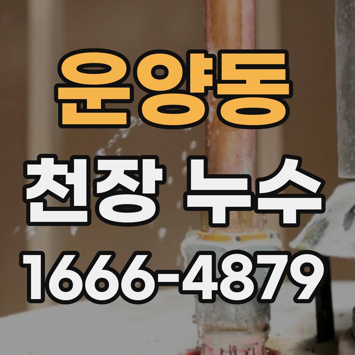운양동 천장 누수