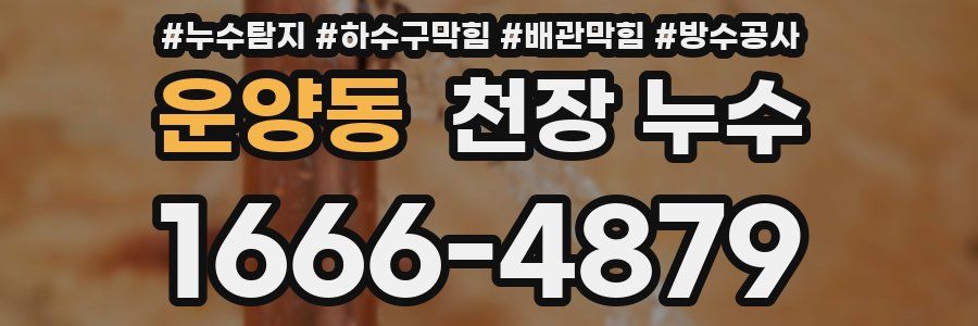 운양동 천장 누수
