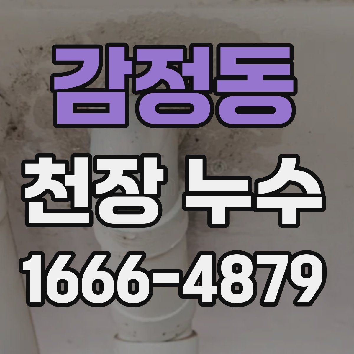 감정동 천장 누수